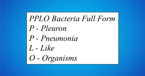 PPLO Bacteria Full Form