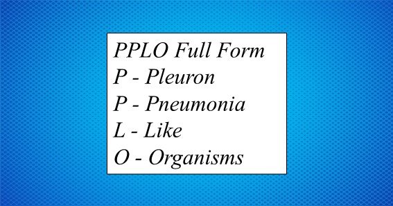 PPLO Full Form 