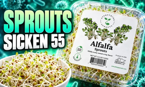 Everything Sprouts alfalfa outbreak 55 sick FDA delay